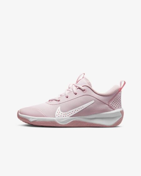 Nike Omni Multi-Court